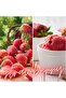 DEOCAR 250ML STRAWBERRY - M117S - 5