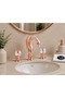 Duck 3-Hole Sink Faucet Rose – Decorative Swan Design Rose Sink Faucet with Crystal Handle