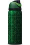 Wicked FreeSip Insulated Stainless Steel Water Bottle with Straw for Sports and Travel, BPA-Free Sports Water Bottle, 32 oz, Elphaba (Green)