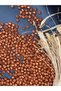 6 mm Tan Color Wooden Beads (25 Grams 175 Pieces) Hole Diameter 2mm Macrame Jewelry Bracelet Board Round - 3
