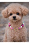 Dog Necklace Pet Necklace Accessory for Small and Medium Breeds