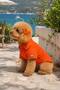 Summer Orange Linen Dog Shirt, Light Weight Construction - 8