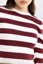 Slim Fit Striped Crew Neck Knitwear Sweater (24 Wn) - 6