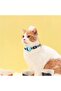Breakaway Cat Collar with Tracker Holder, Waterproof Case Compatible with Tracking Device, Safety