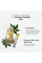 Moringa Cold Pressed Miracle Oil, Hair Growth, Clear Skin, Rich in Antioxidants & Vitamins, 59ml - 3