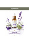 Lavender Essential Oil 20 ml 100% Pure and Natural - 5