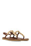Women's Brown Buckle Flip-Flop Sandals 26Sfe499214 - 2