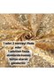 3mm Sequin Fabric for Clothing, Tablecloths, Throw Pillows, Etc. Suitable for Operations Golden Yellow 200 X 140)
