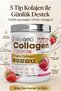 Noora Collagen Powder 360 Gr Strawberry Flavored 5 Types of Collagen + D3 K2 Omega-3 Supported Collagen - 2