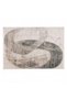 Moderna Soft Touch Rug 200x290cm - Onyx Green - 4