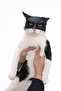 Black Mask for Cats & Small Pets |   Decorative Fun Photo Mask |   Lightweight - 3