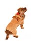 Small and Medium Breed Dog Pajamas Fleece Jumpsuit - Rubi - Dog Outfit