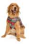 Dog Large Breed Coat Reindeer Outside Raincoat Fabric Fleece Inside - 3