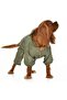 Small and Medium Breed Dog Long Coat Hurit Green - 5