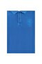 Polo Collar Regular Fit Men's T-Shirt 1573851 - 4