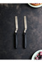 Oblique Cake Spatula Set of 2 Steel Spatulas - 2