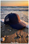 Mesh Baseball Cap for Women and Men (Unisex) (6 Pieces, Front Center Seam) - 8