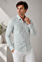 Green Striped Long Sleeve White Cotton Pocketless Regular Fit Premium Men's Shirt - 3