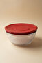 Multi-Purpose Grater and Mixer Glass Mixing Bowl 5000 ml - 5
