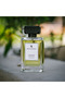 Cardamom and Apple Eau de Parfum for Men - 100 ml - 6