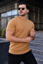 3 Pieces Men's Striped Premium Summer Knitwear T-Shirt - 4