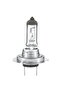 Bec H7-24V/70W - 2