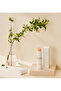 Reset Balm-Stick