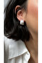 Pair of Silver Color Mussel Earrings 2.2 cm