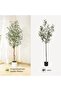 1pcs Natural Wooden Rod Imitation Double Rod Olive - Practical, Cost-effective, Affordable - 5