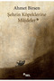 Şehrin Köpeklerine Müjdeler / Ahmet Birsen / / 9786258705126