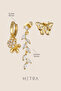 Gold Color Zircon Stone Leaf Branch and Butterfly 3-Piece Earring Set - 4
