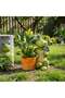 Frog With Bucket Magnesia Planter 30.5x20.5x34cm - Green