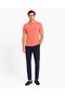 Men's Regular Fit Polo Neck Basic T-Shirt