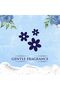 Hand Wash Pouch 1 Liter - Exotic Bloom Scented Anti-Bacterial,Skin-Softening & Moisturizing Liquid Hand Wash - 5