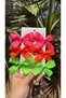 Candy Color Neon Ribbons 6-Piece Children's Buckle Set-3Cm Metal Clip