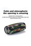 BS-312 Bluetooth Speaker, Bluetooth 5.3 Portable Wireless Speaker with RGB LED Lights - 4