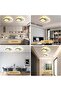 Modern LED Ceiling Light, 24W LED Energy Saving Light with Adjustable Lighting, Three Color Temperature - 5
