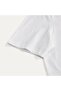 Men Regular Cotton Graphic Crew Tee | Online Exclusive - 7