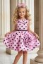 Girl's Pink Dress with Spotted Pattern on the Skirt and Rose Brooch on the Sleeves - 6