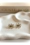 Women's Steel Eye Motif Zircon Stone Earrings - 4