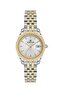 Dk.6.14453-3 Women's Wristwatch