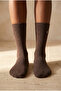 Unisex Dog Embroidered Socks Brown Melange - 2