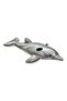 Lil Dolphin Pool Float - Grey 69x26inch