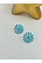 Wind Rose Crystal Stone Detail Earrings (Premium Series) Pink - 3
