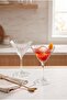 Elysia Martini Glass 220 Cc
