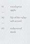 Frosted-glass scented candle - 4