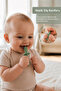 Baby Teething Stick Pacifier - Teether, Mouthguard, Teething Device, Baby Teether - Green - 2