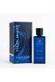 Fauve D'or | Extrait De Parfum | 80ml or 2.7 FL OZ