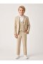 Boys' Textured Fabric Classic Suit - 4