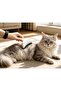 Metal Tip Pet Hair Collection Comb